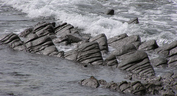 Punta Licosa, stregato dalle sirene